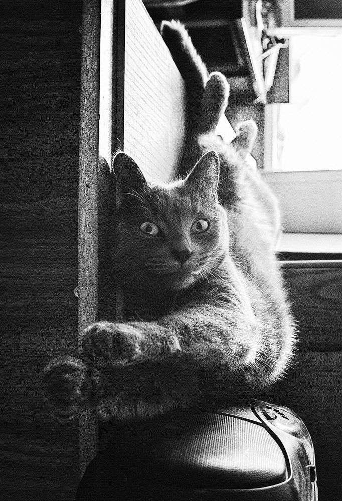 Photograph by Red Pashechka