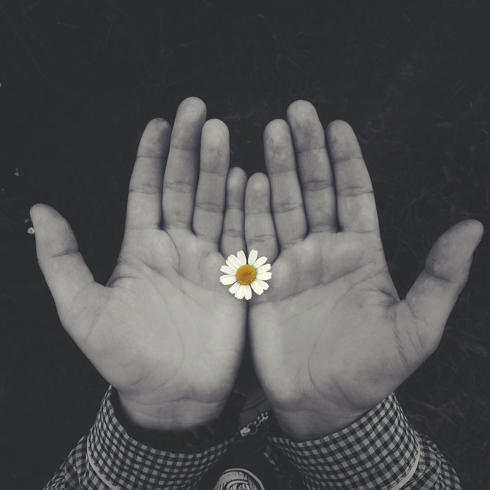 Фотография автора Геннадий Ломеко