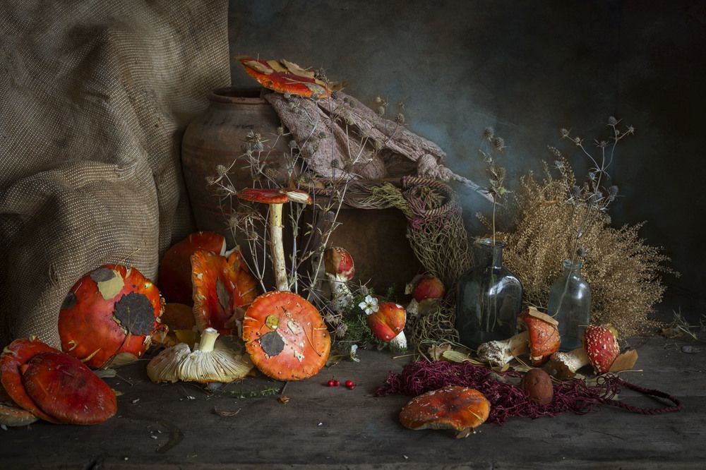 Photograph by Зимина Лионелла