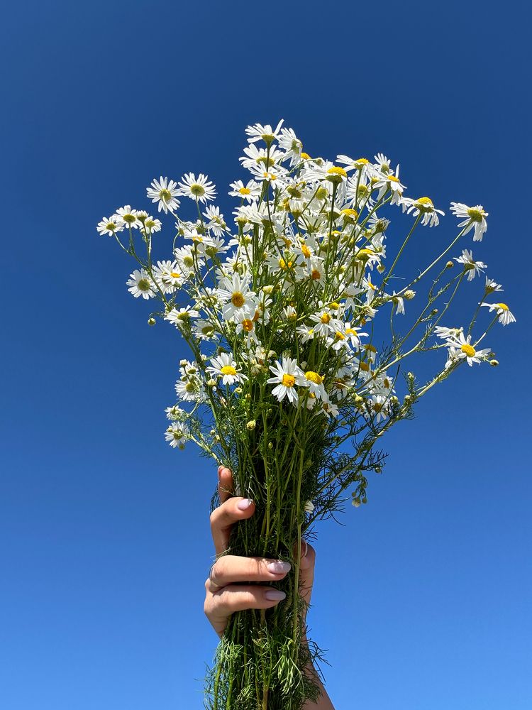 Photograph by Марина Федотова