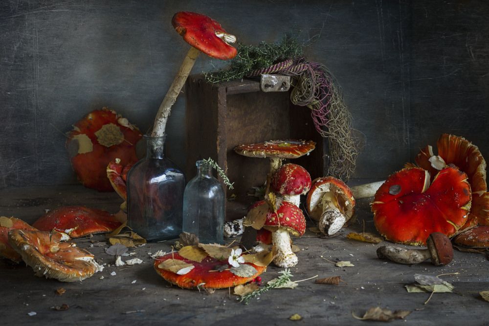 Photograph by Зимина Лионелла