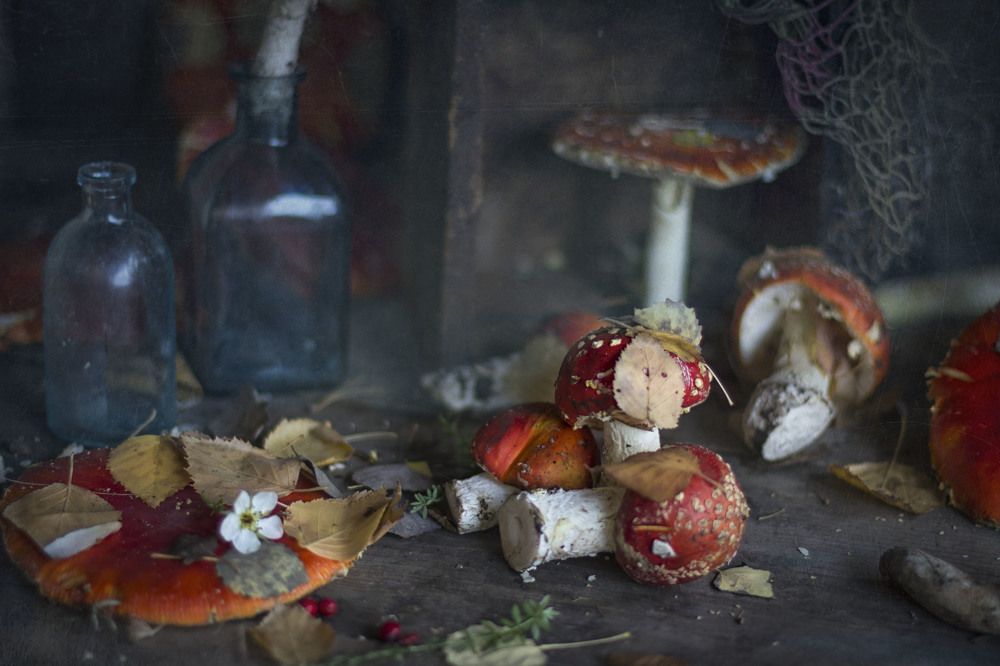 Photograph by Зимина Лионелла