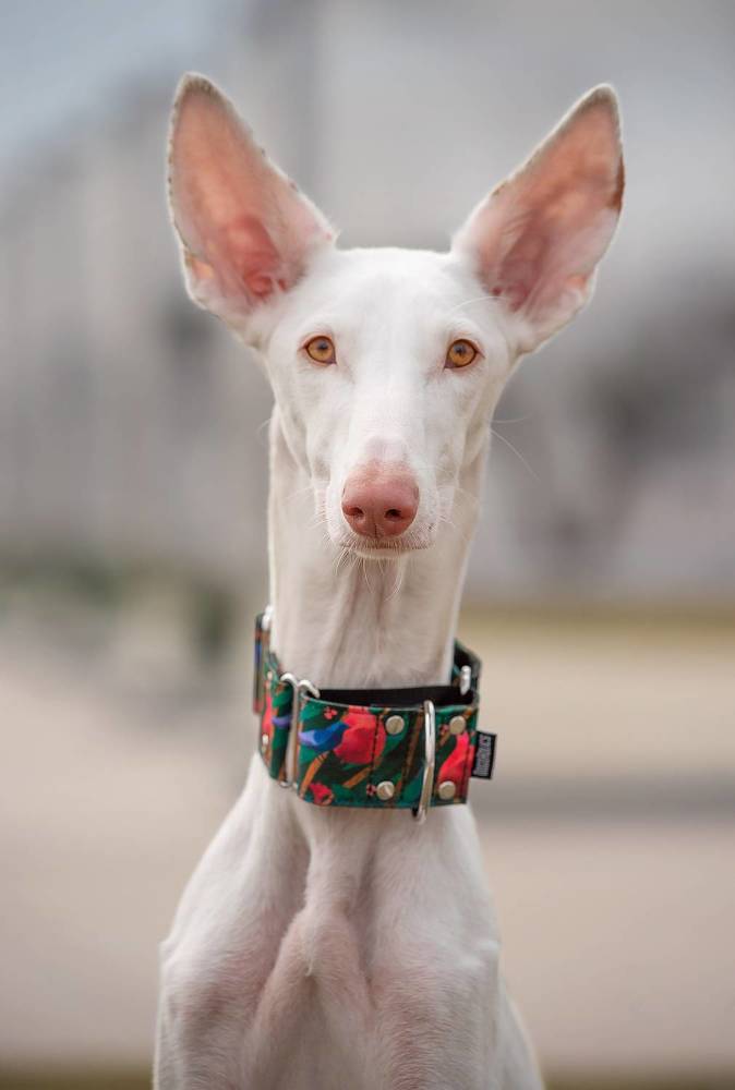 Photograph by Григорьева Юлия