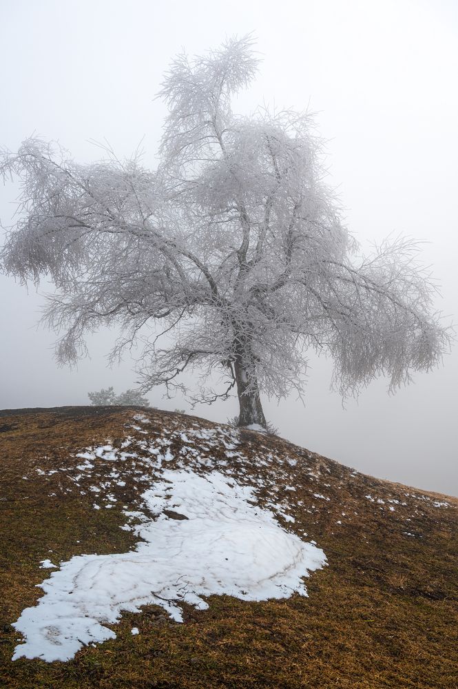 Photograph by Валерий Одинцов