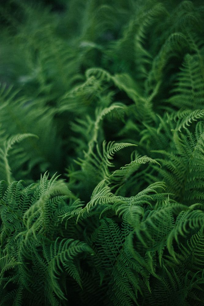 Photograph by Margarita