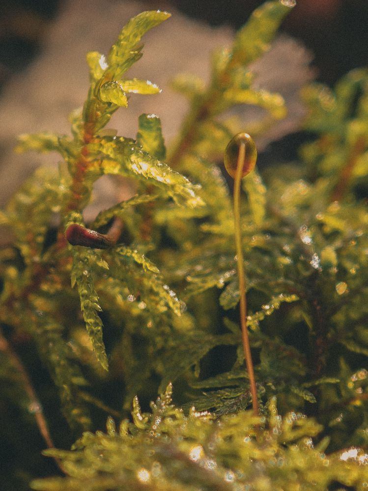 Фотография автора Данилова Наталья