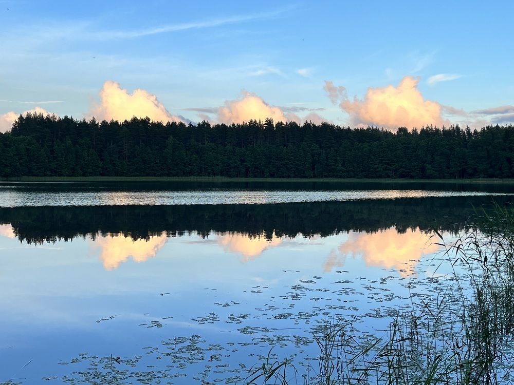 Photograph by Евгения Лазарева