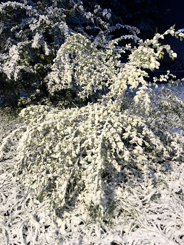 Photograph by Евгения Лазарева