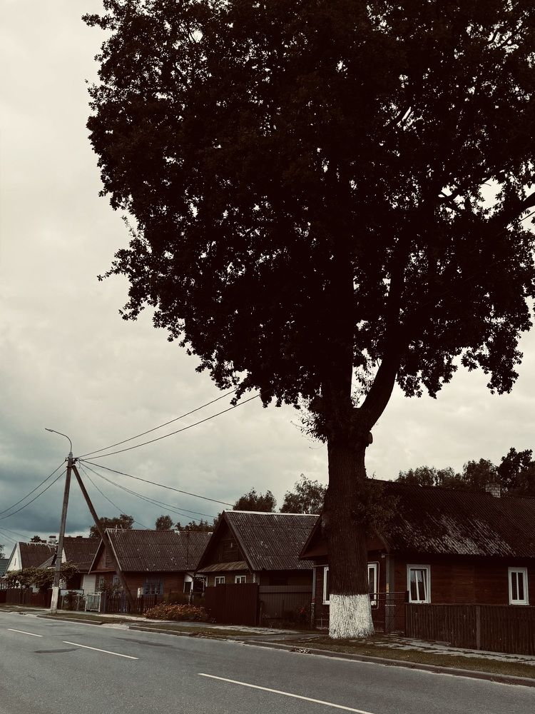 Photograph by Zhanna Kolesnikova