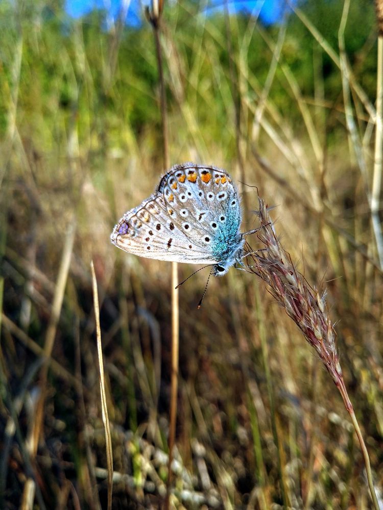 Фотография автора Liliya Slavcheva