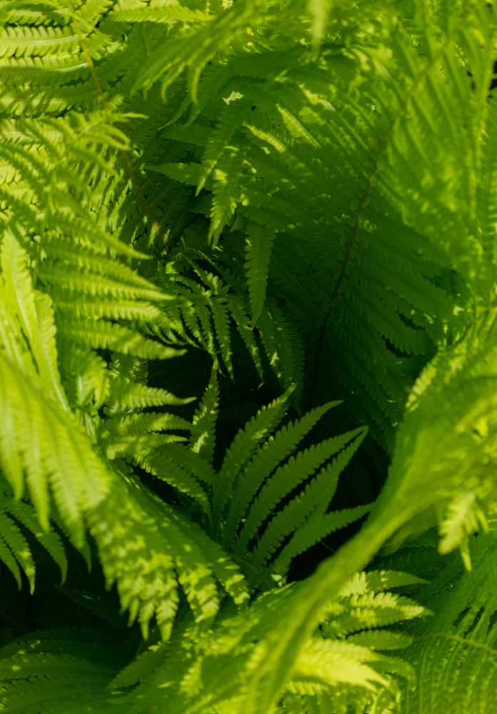 Photograph by Ольга Салтыкова