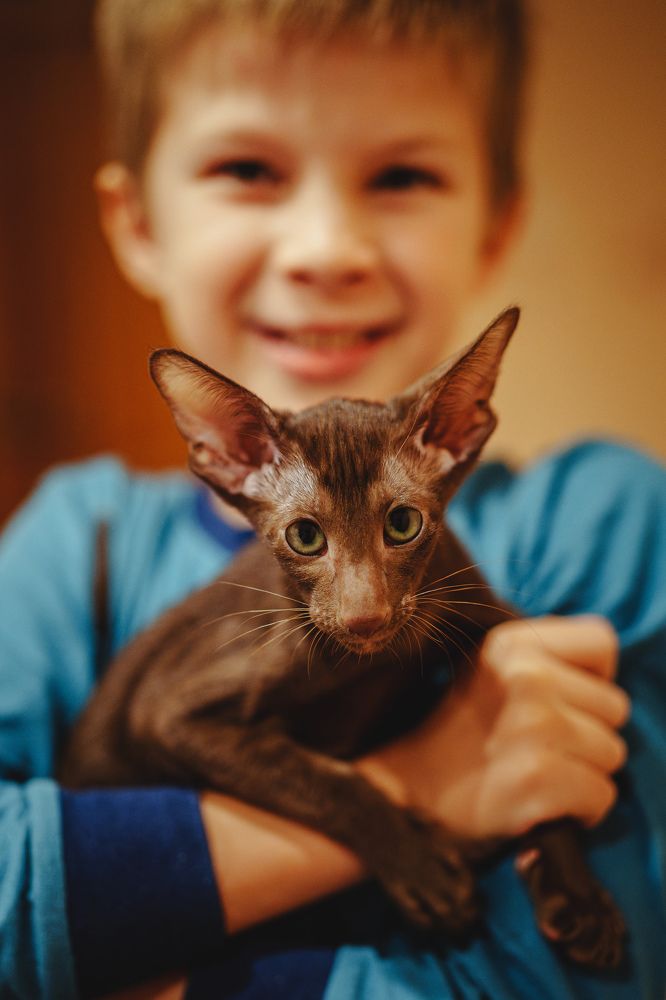 Photograph by Вертиков Юрий