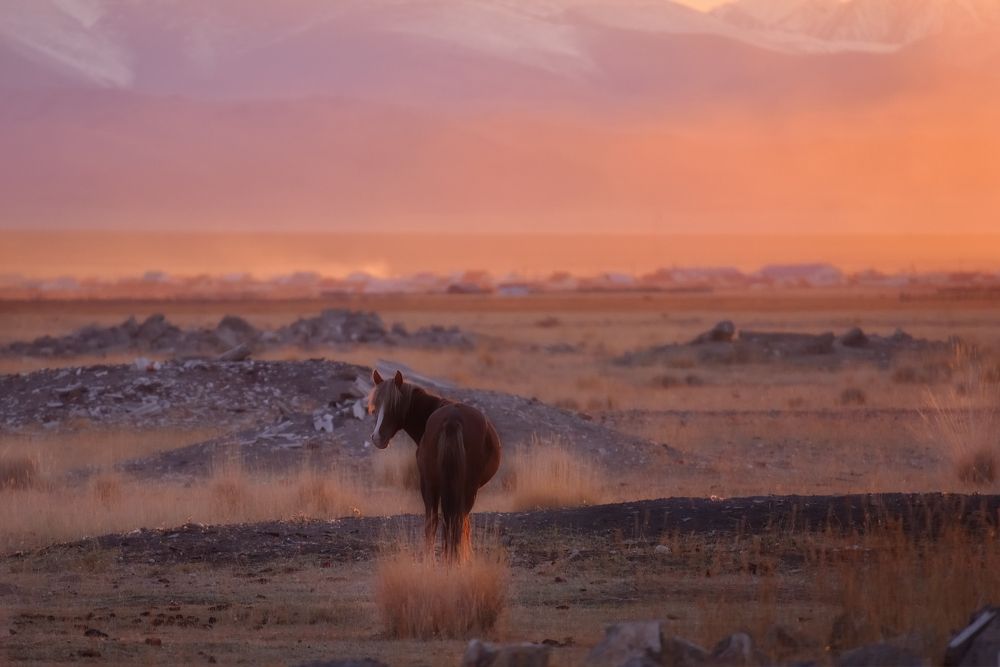 Photograph by Максимова Ольга