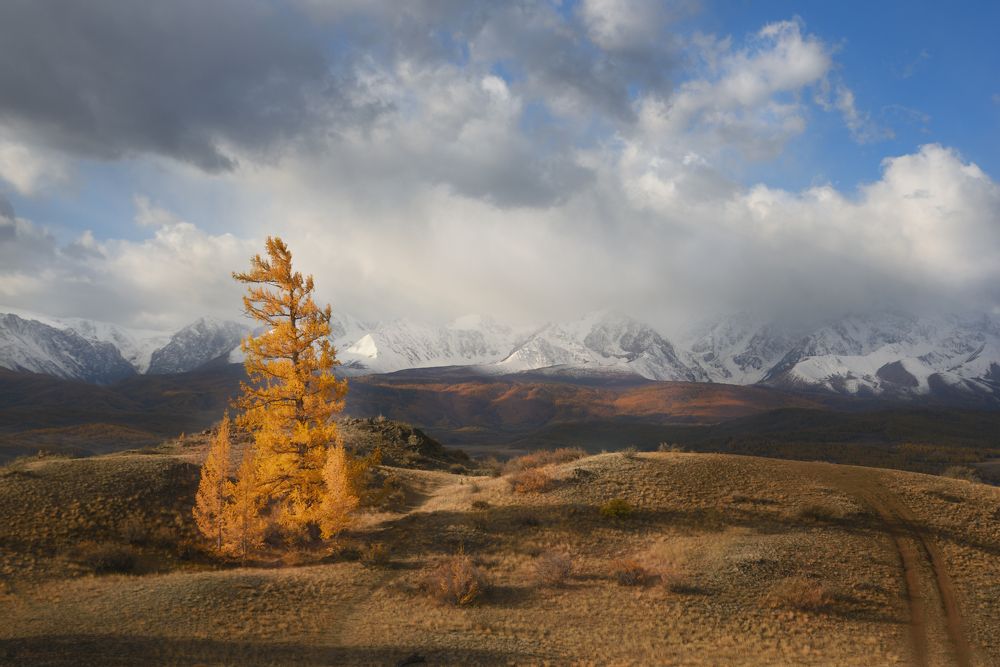 Photograph by Максимова Ольга