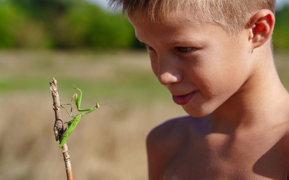 Photograph by Вертиков Юрий