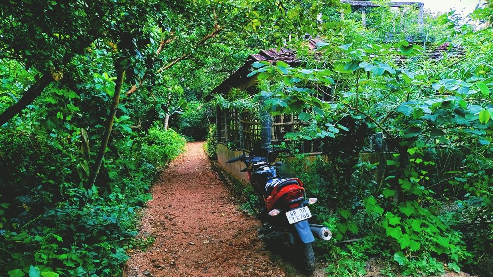 Photograph by Arkadip Mondal