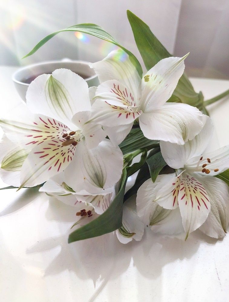 Photograph by Анна Андреевна