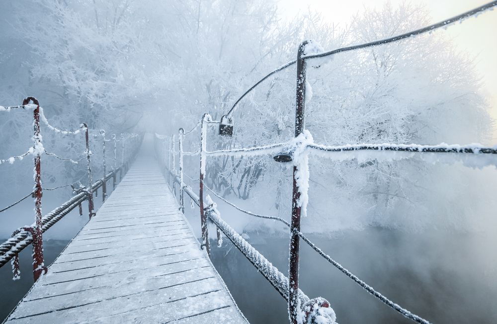 Photograph by Игорь Васильев