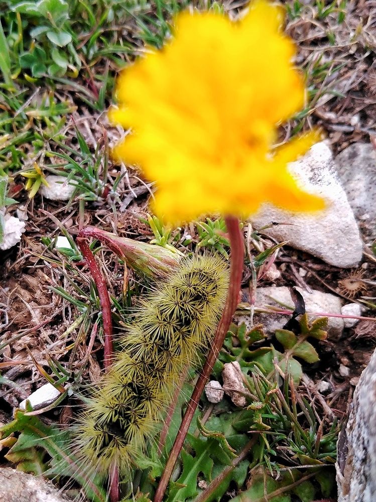 Photograph by Azzeddine Memmou