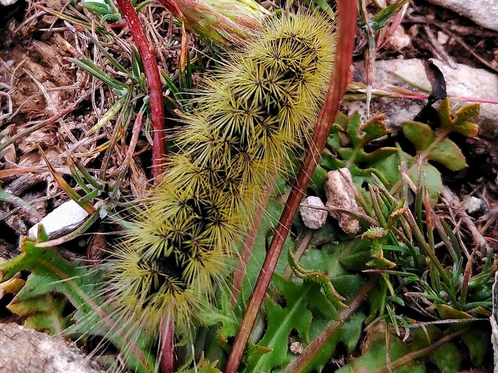 Photograph by Azzeddine Memmou