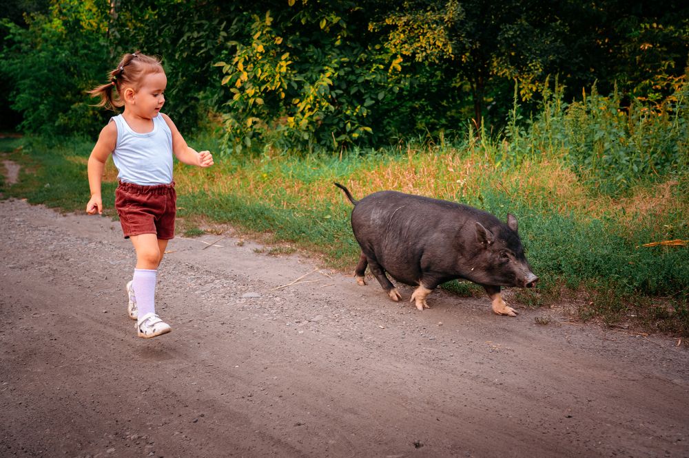Photograph by Лариса Руденко