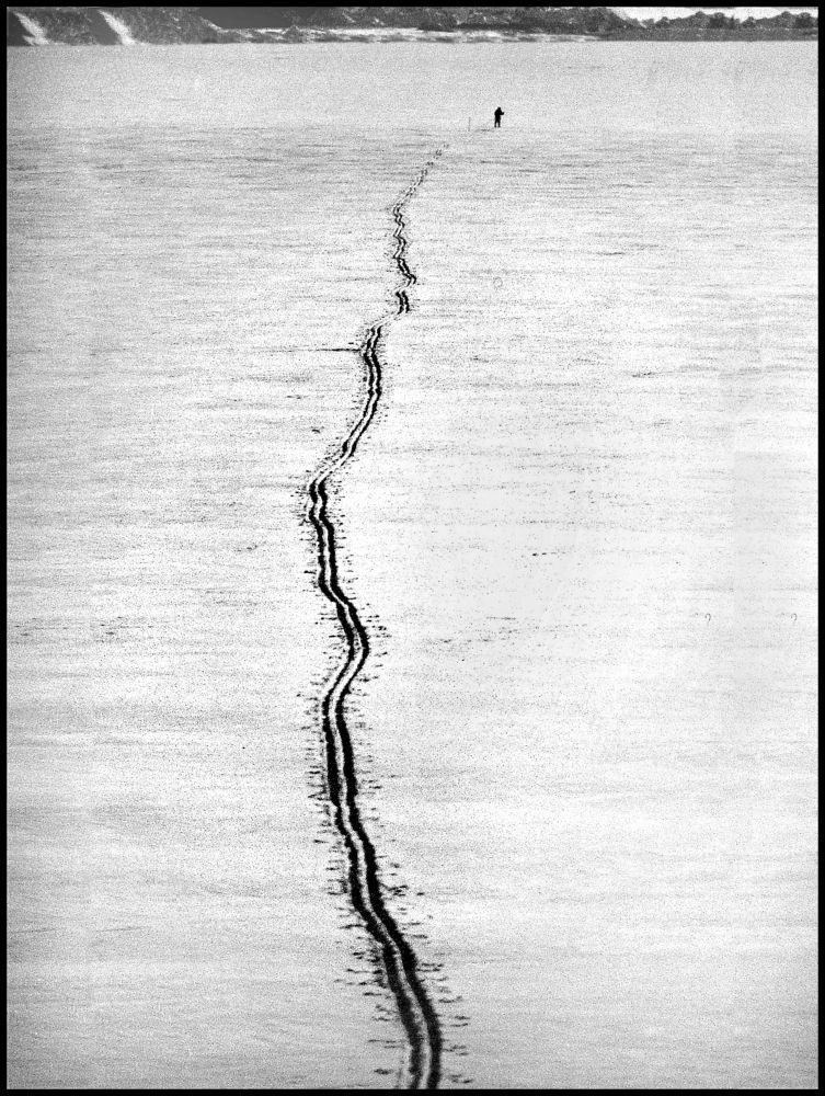 Photograph by Меднов Влад