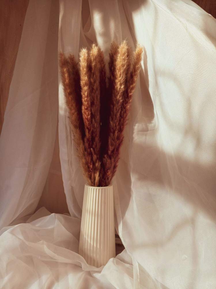 Photograph by Ксения Трофимова