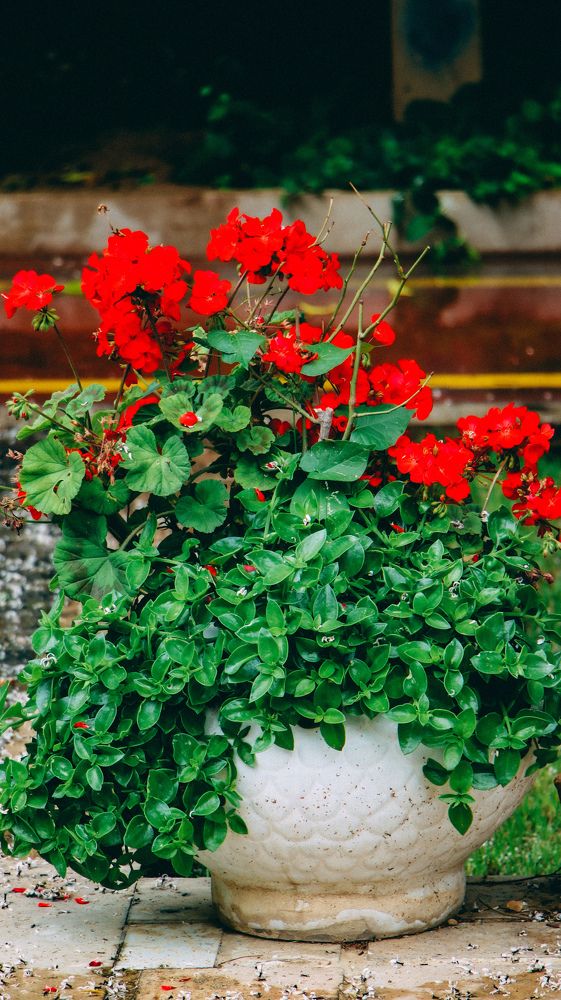 Photograph by Shahriyar Shybanie