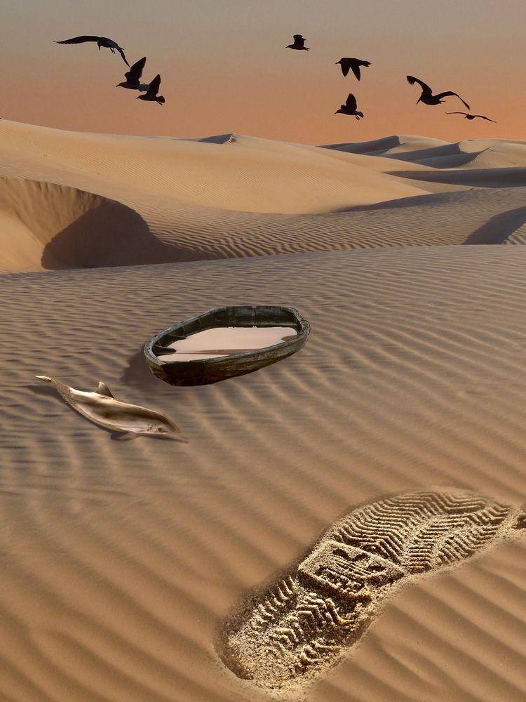 Photograph by Ольга Бакурская