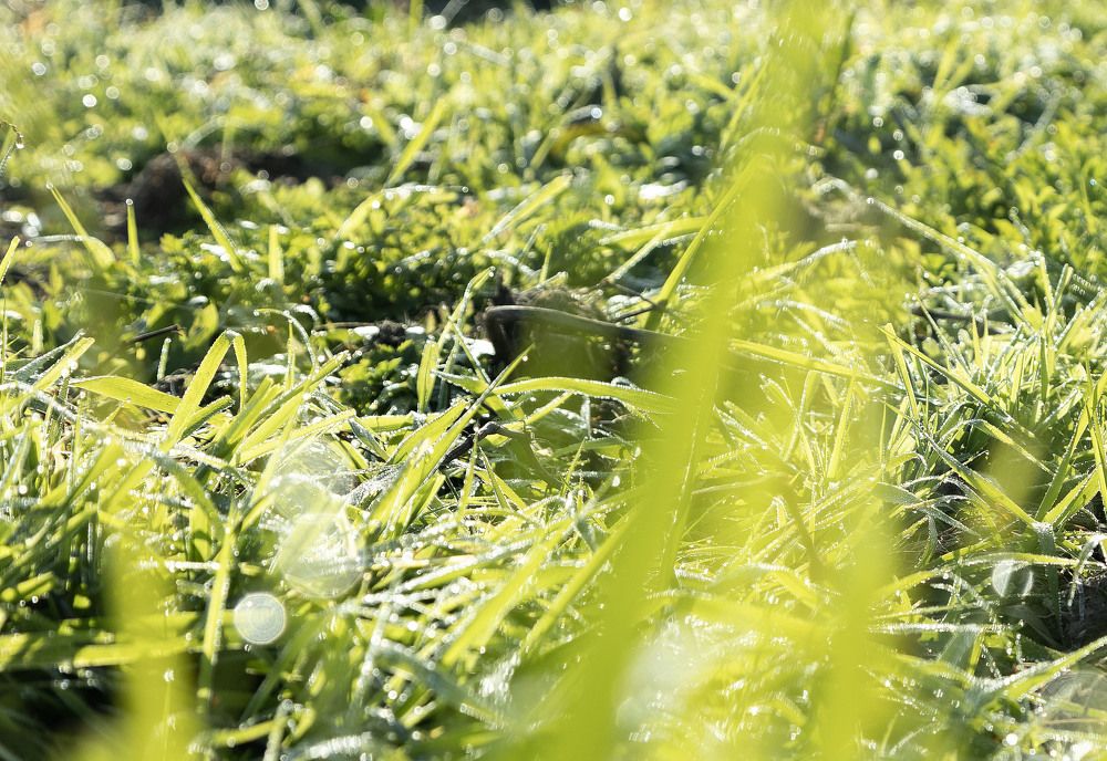 Photograph by Александр Шептикин