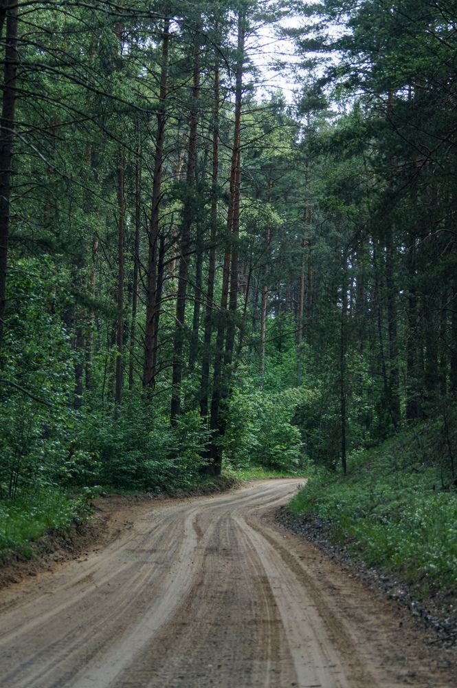 Photograph by Карина Заводчикова