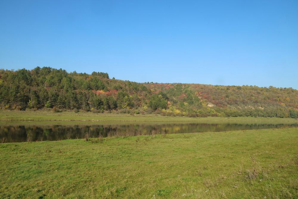 Photograph by Александр Шептикин