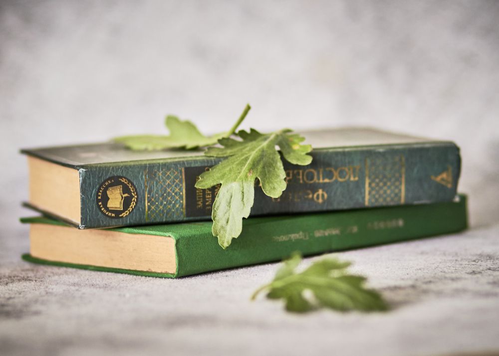 Photograph by Мария Гурьева