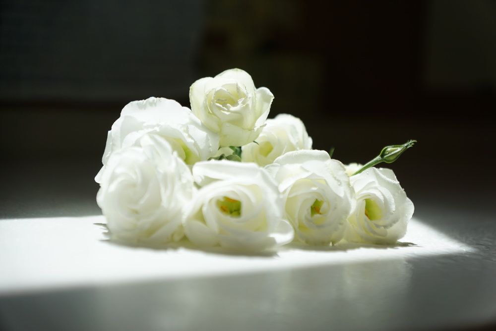 Photograph by Maximova Julia