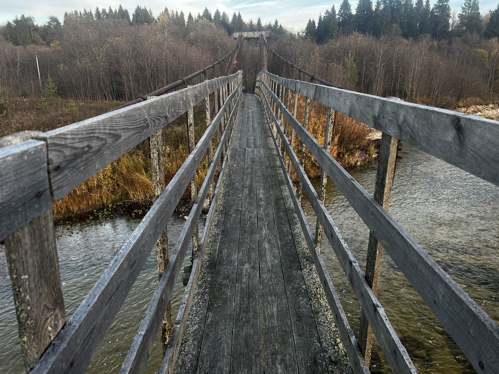 Photograph by Ольга