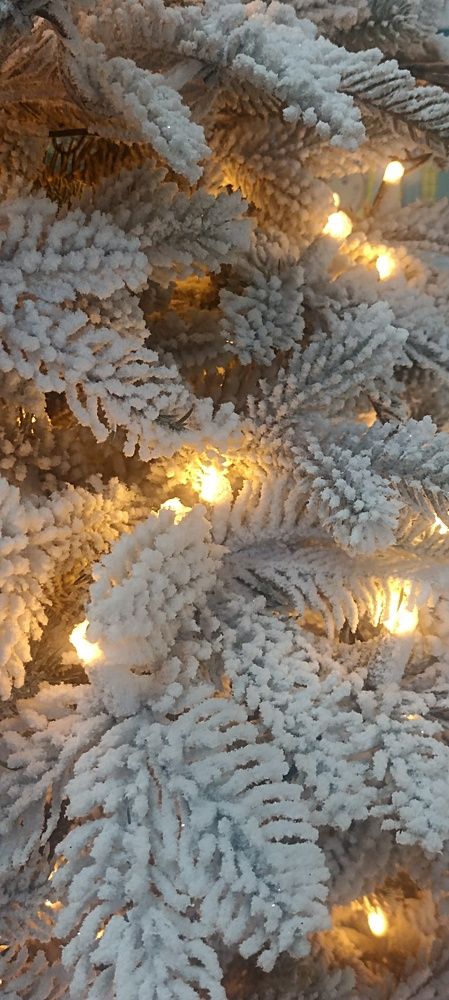 Photograph by Данил Костин