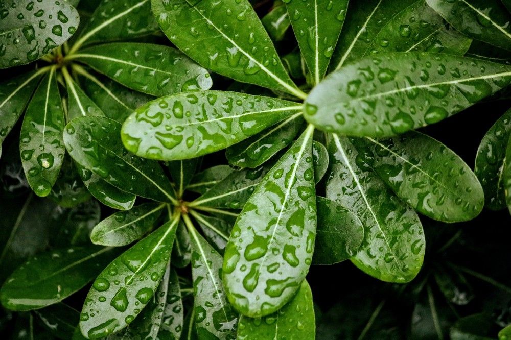 Photograph by volkan akan