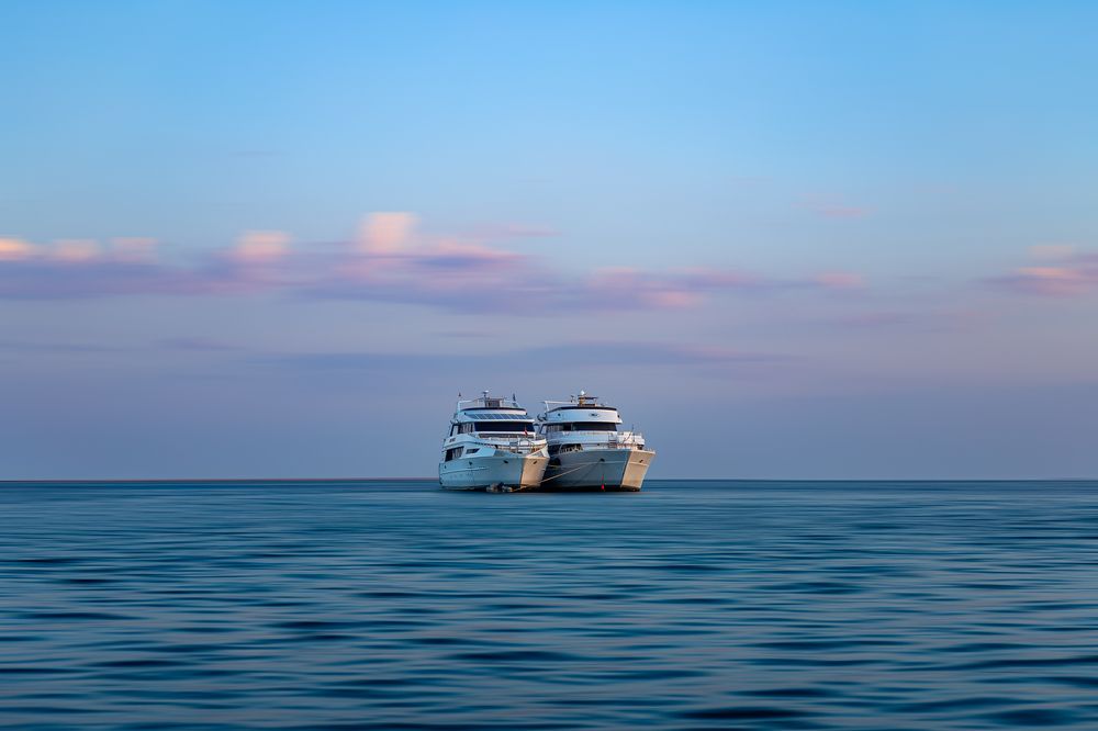 Photograph by Alaa Nour