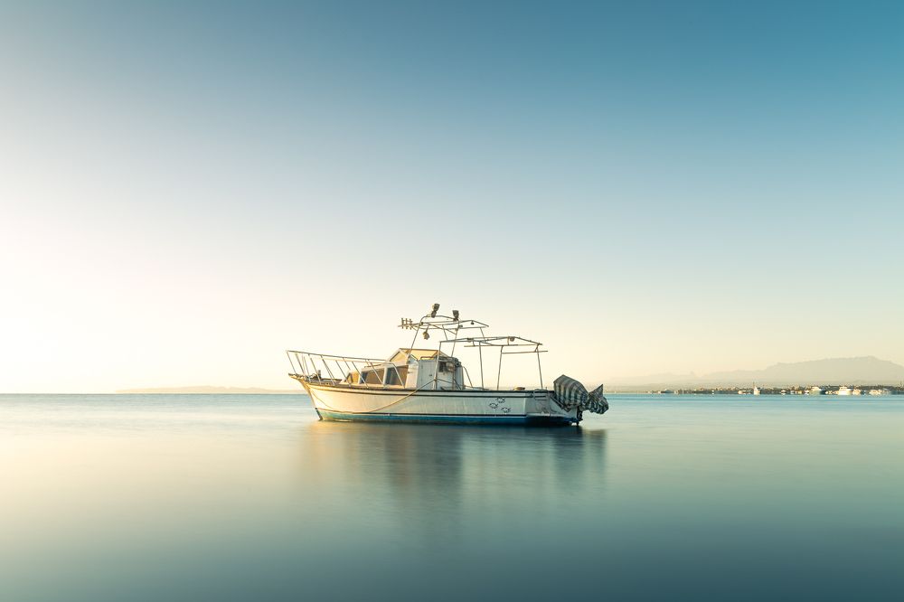 Photograph by Alaa Nour