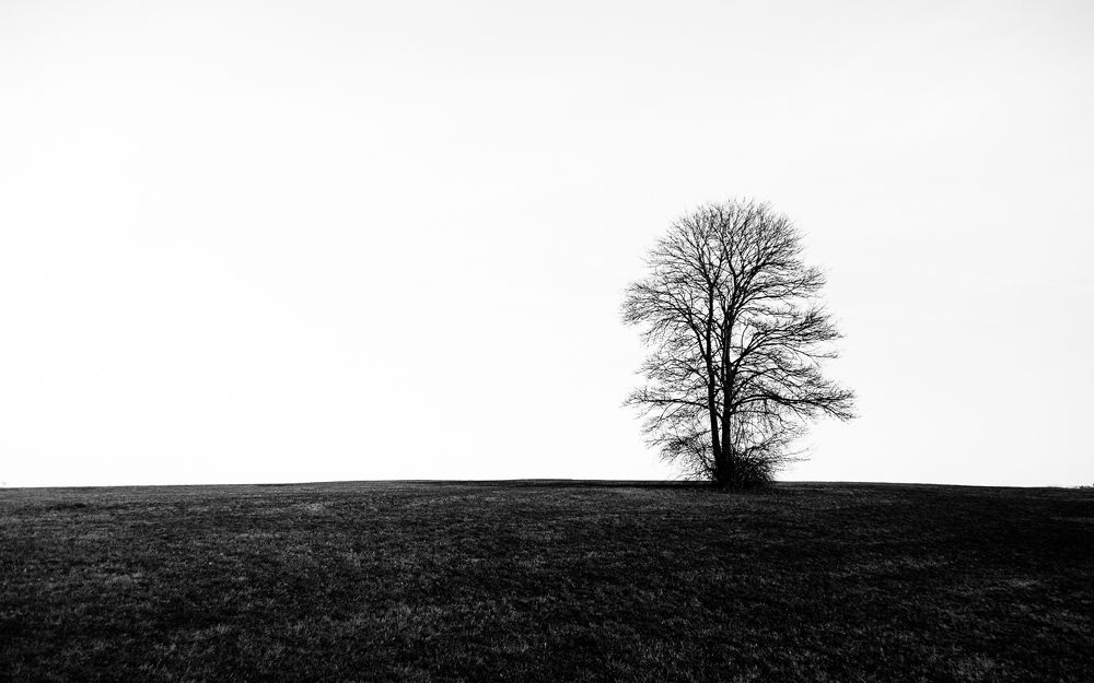 Photograph by Alaa Nour