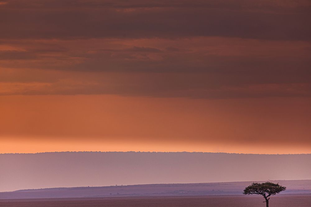 Photograph by Trivet Antony