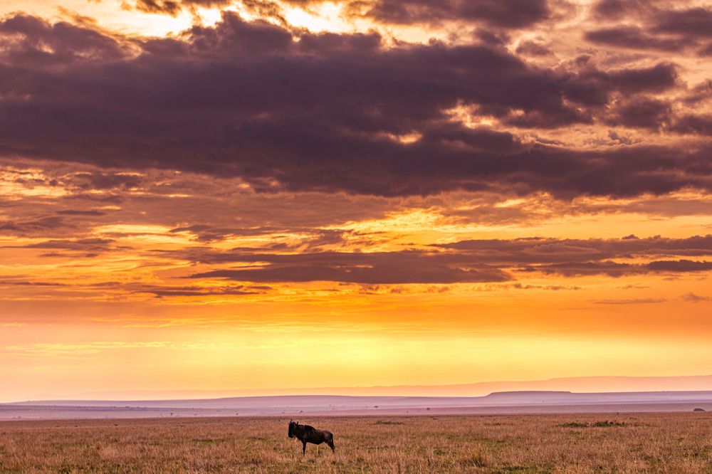 Photograph by Trivet Antony