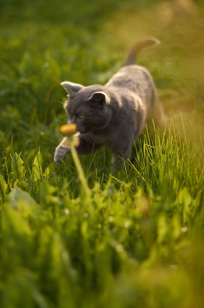 Photograph by Маргарита Гасец