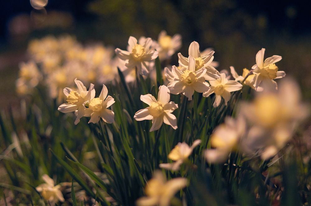 Photograph by Маргарита Гасец