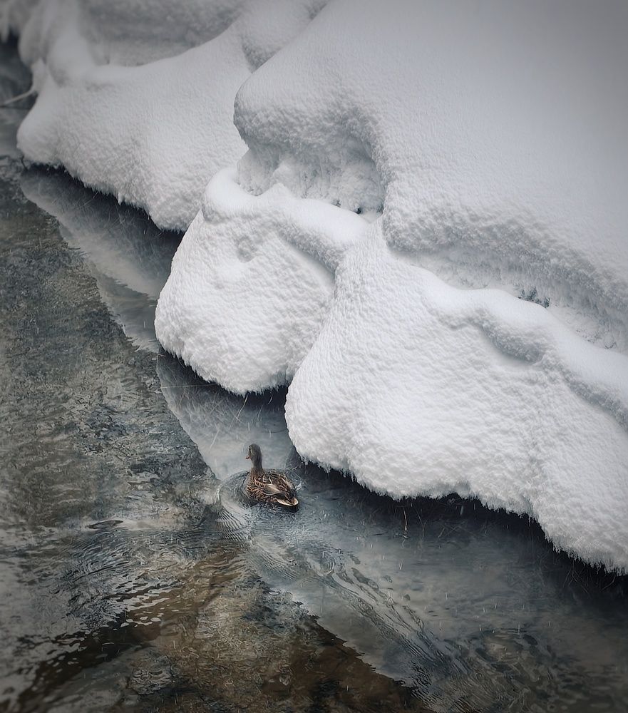 Photograph by Ярославна