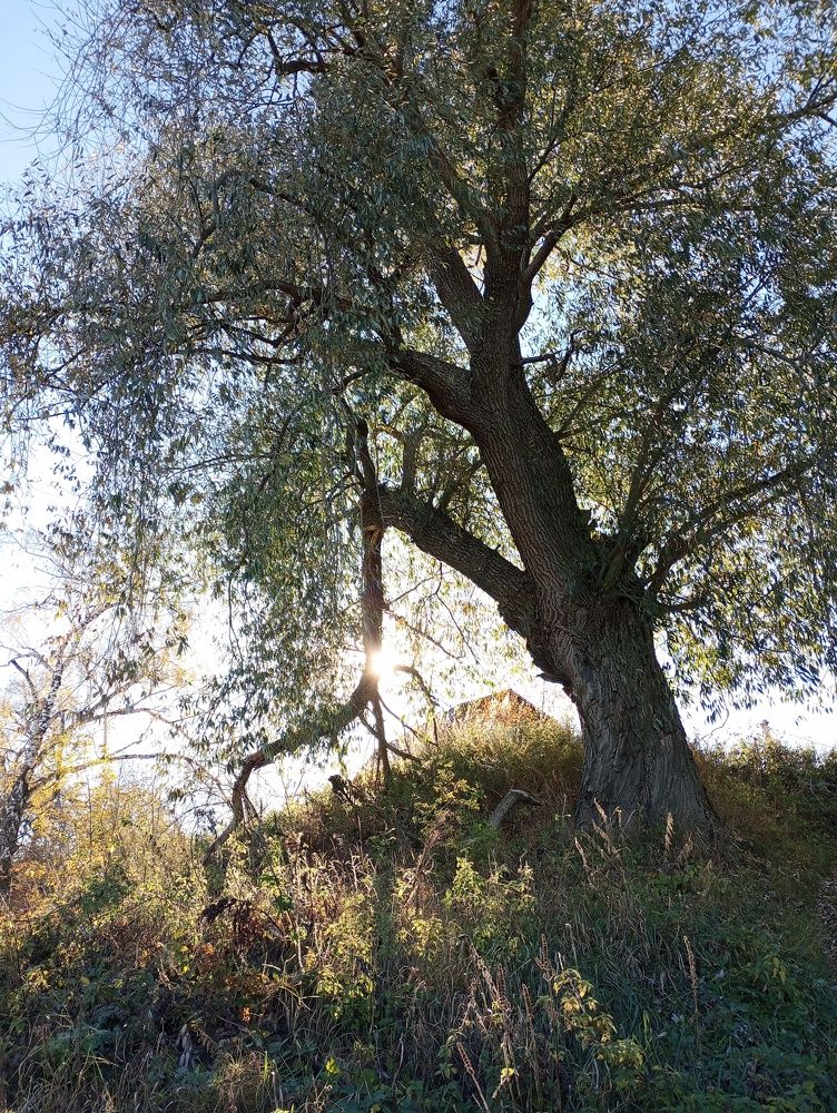 Photograph by Татьяна Кунц