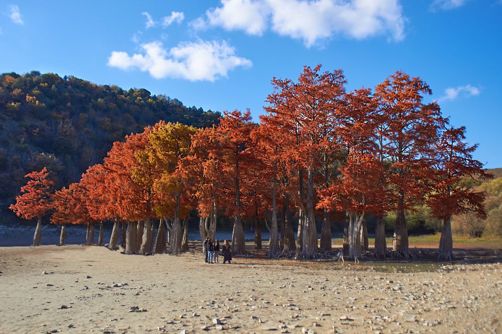 Photograph by Наталья Шевелева