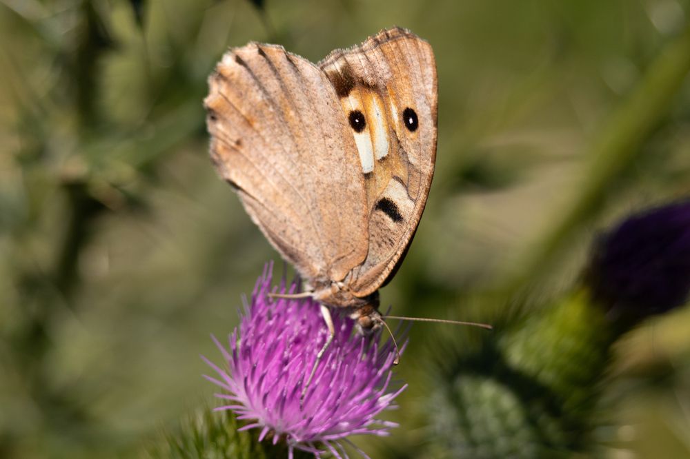 Photograph by Mahmut YILMAZ