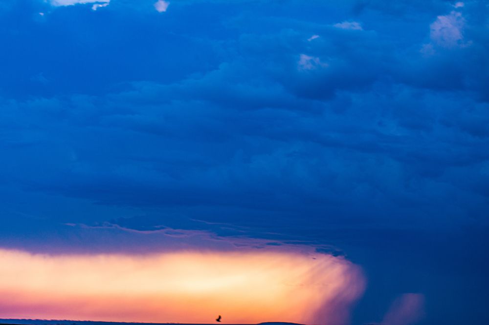 Photograph by Trivet Antony