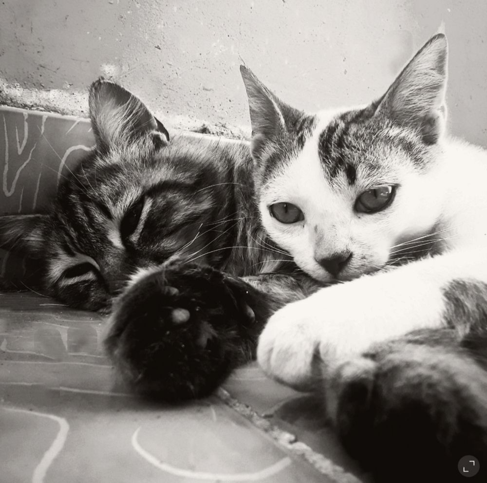 Photograph by على اشرف محمد عبد الجواد شعبان